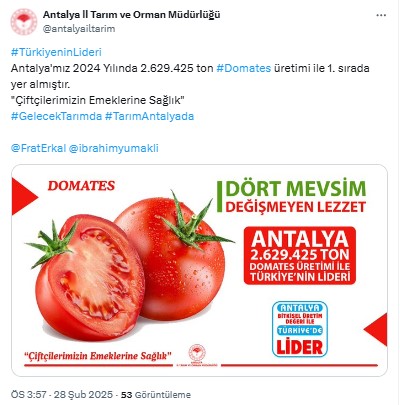 Antalya Domates Üretiminde Türkiye Lideri! 1 Yılda 2.6 Milyon Ton 2