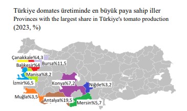 Antalya Domates Üretiminde Türkiye Lideri! 1 Yılda 2.6 Milyon Ton 3