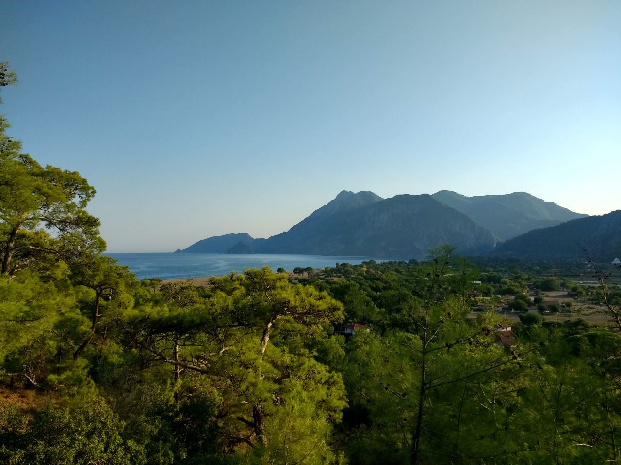 Antalya Ormanları Kuruma Tehlikesiyle Karşı Karşıya Kaldı