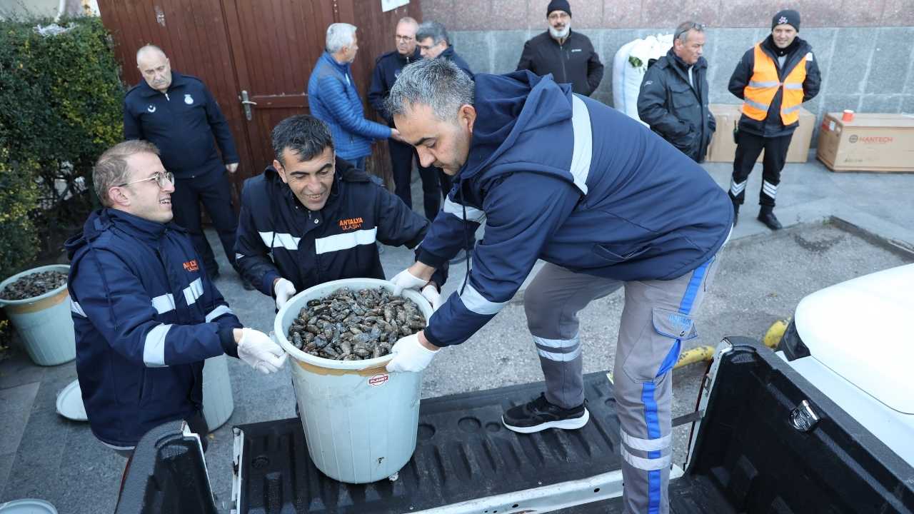 Antalya Otogarı'nda 300 Kilogram Midye Yakalandı 12