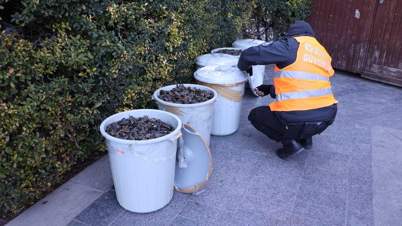 Antalya Otogarı'nda 300 Kilogram Midye Yakalandı 13