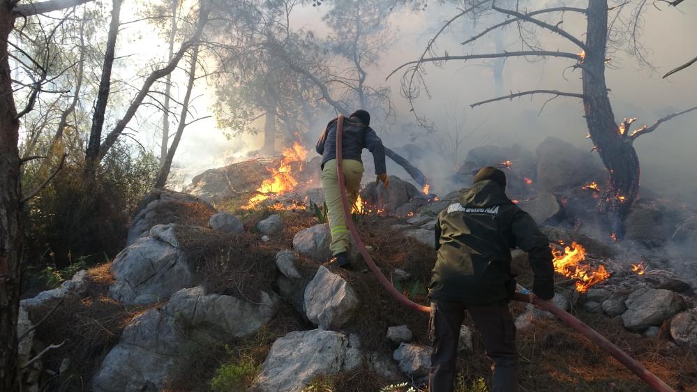 Antalya'da Çıkan Orman Yangınının Çıkış Nedeni Belli Oldu