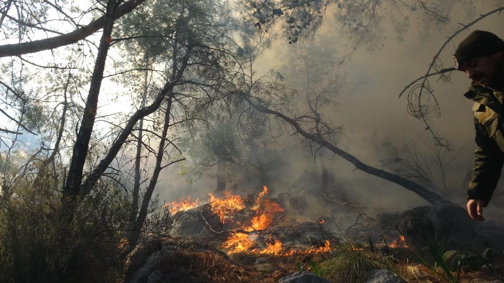 Antalya'da Çıkan Orman Yangınının Çıkış Nedeni Belli Oldu