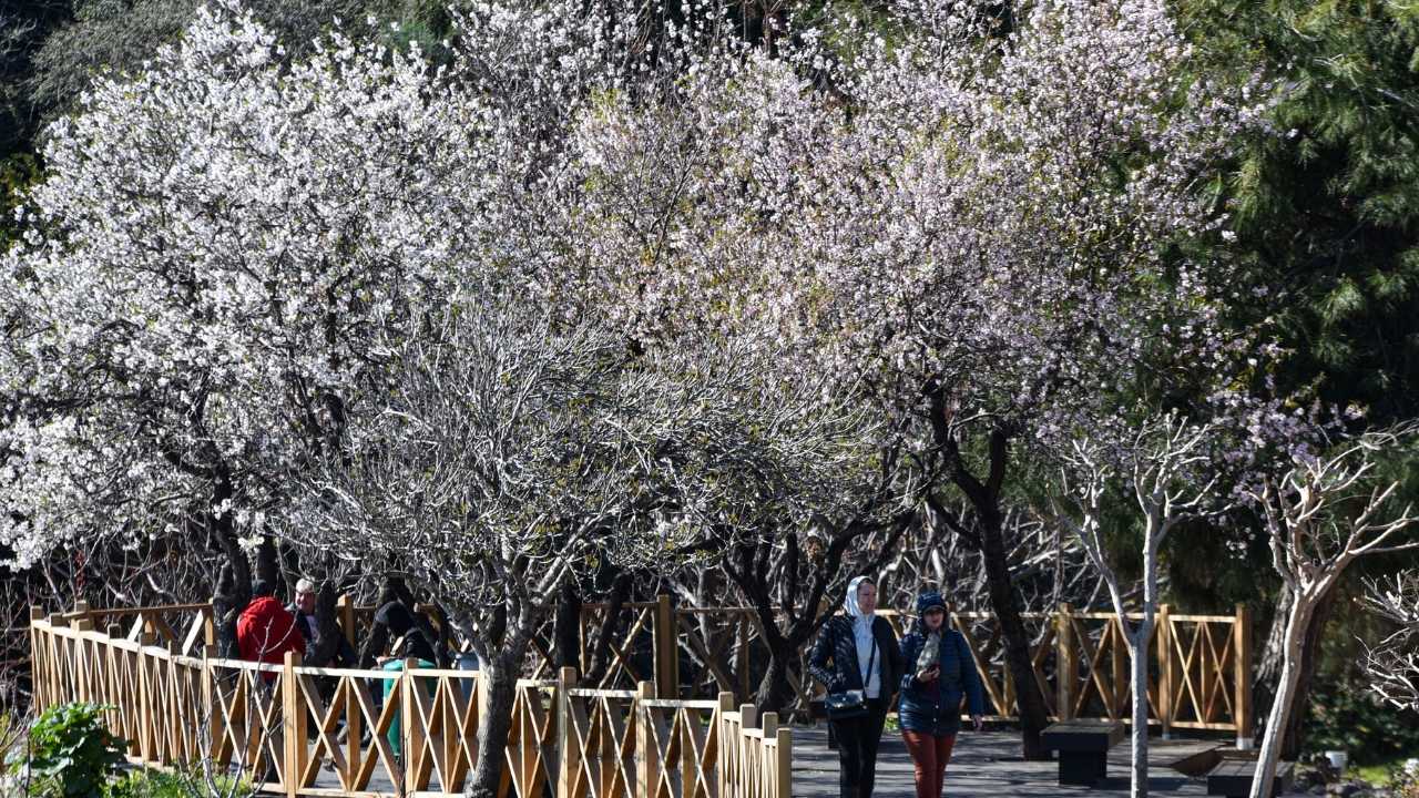 Antalya'da Karlı Toroslar Manzarasında Sahil Keyfi  6