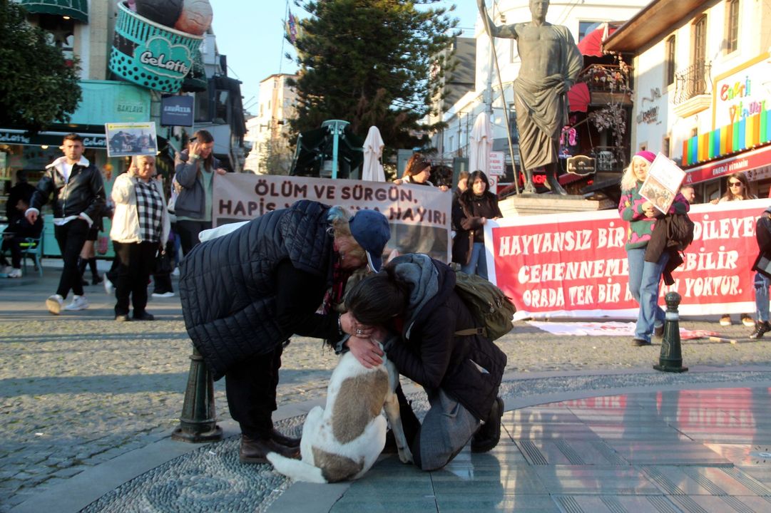 Attalos Pati Gönüllüleri'nden Duygusal Eylem  2