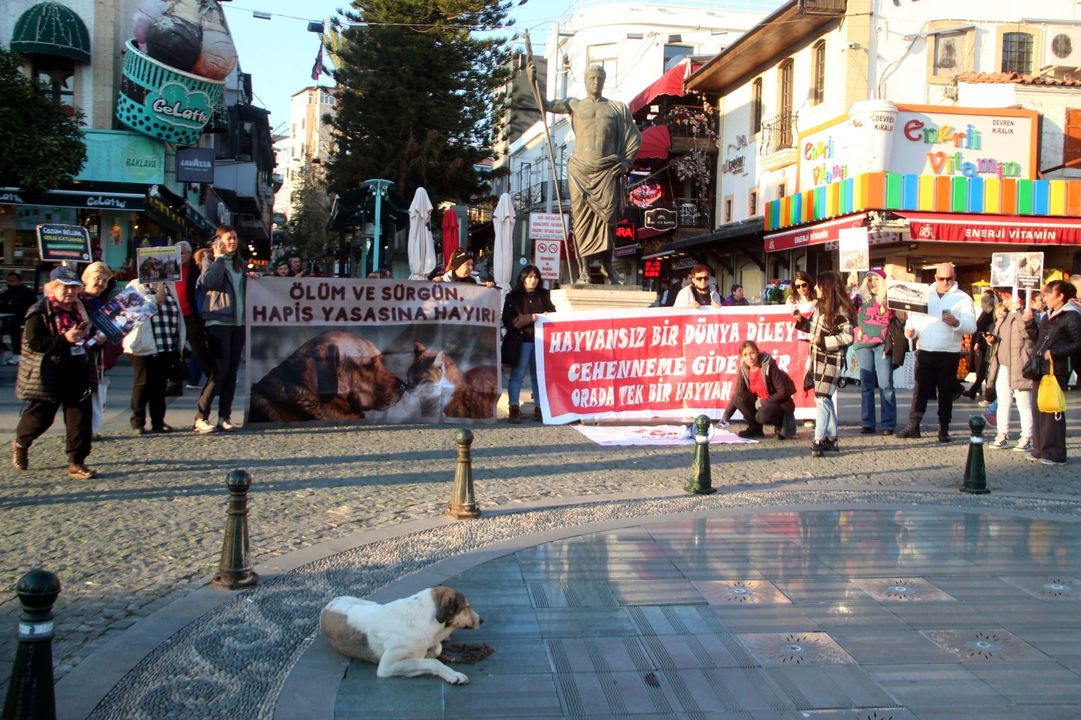 Attalos Pati Gönüllüleri'nden Duygusal Eylem  4