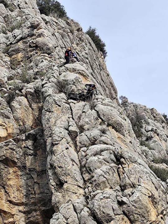 Bucak'taki Dağlık Alanda Keçi Kurtarma Operasyonu 3