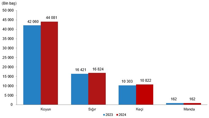 Büyükbaş ve Küçükbaş Hayvan Sayısı Artarken Arıcılık Düştü