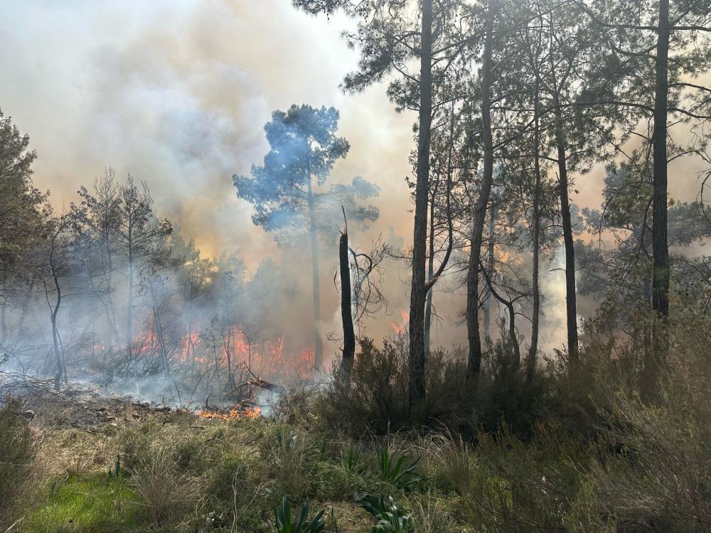 Antalya'daki Korkutan Orman Yangını Kontrol Altına Alındı