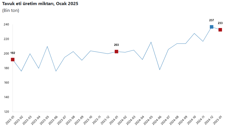 Tavuk Eti Üretimi Ocak 2025