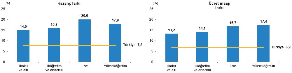 Ücret Kazanç Farkı