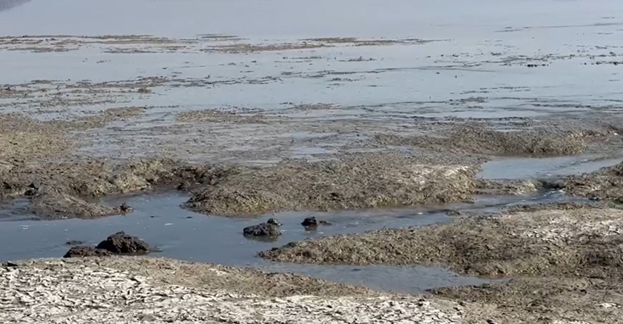 Isparta Eğirdir Gölü'nde Düden Tehlikesi 4