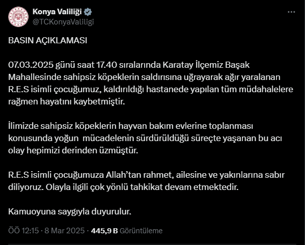 Sokak Köpekleri 2 Yaşındaki Çocuğa Saldırdı! Yaşamını Yitirdi