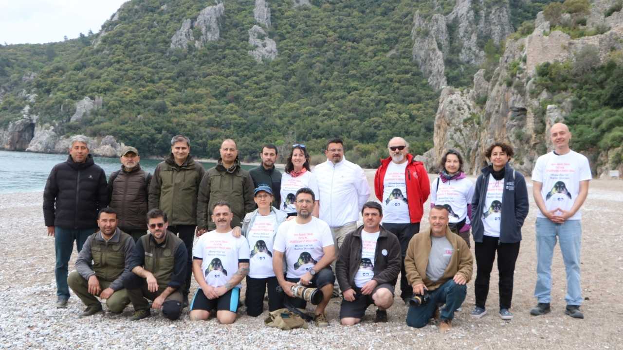 Yavru Akdeniz Foku Kemer'de Akdeniz'e Bırakıldı 4