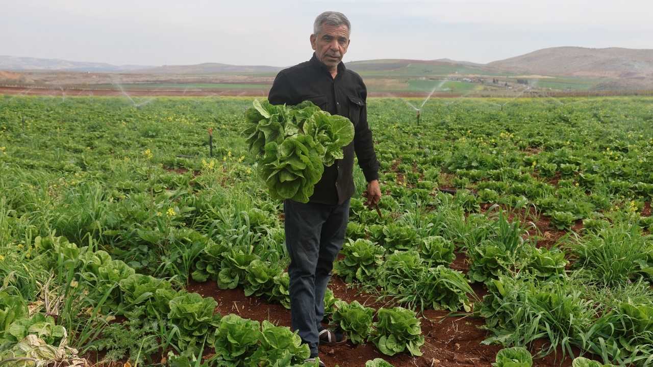 Hatay’da Çiftçiyi Kuraklık Vurdu2
