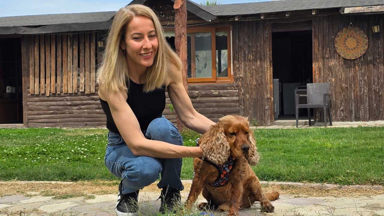 Hatay’da Kayıp Köpek Arazide Ağaca Bağlı Bulundu2