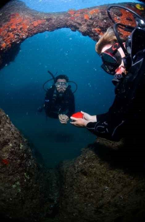 Kemer'de Dalış Yapan Turistlerden Su Altında Hediye 4