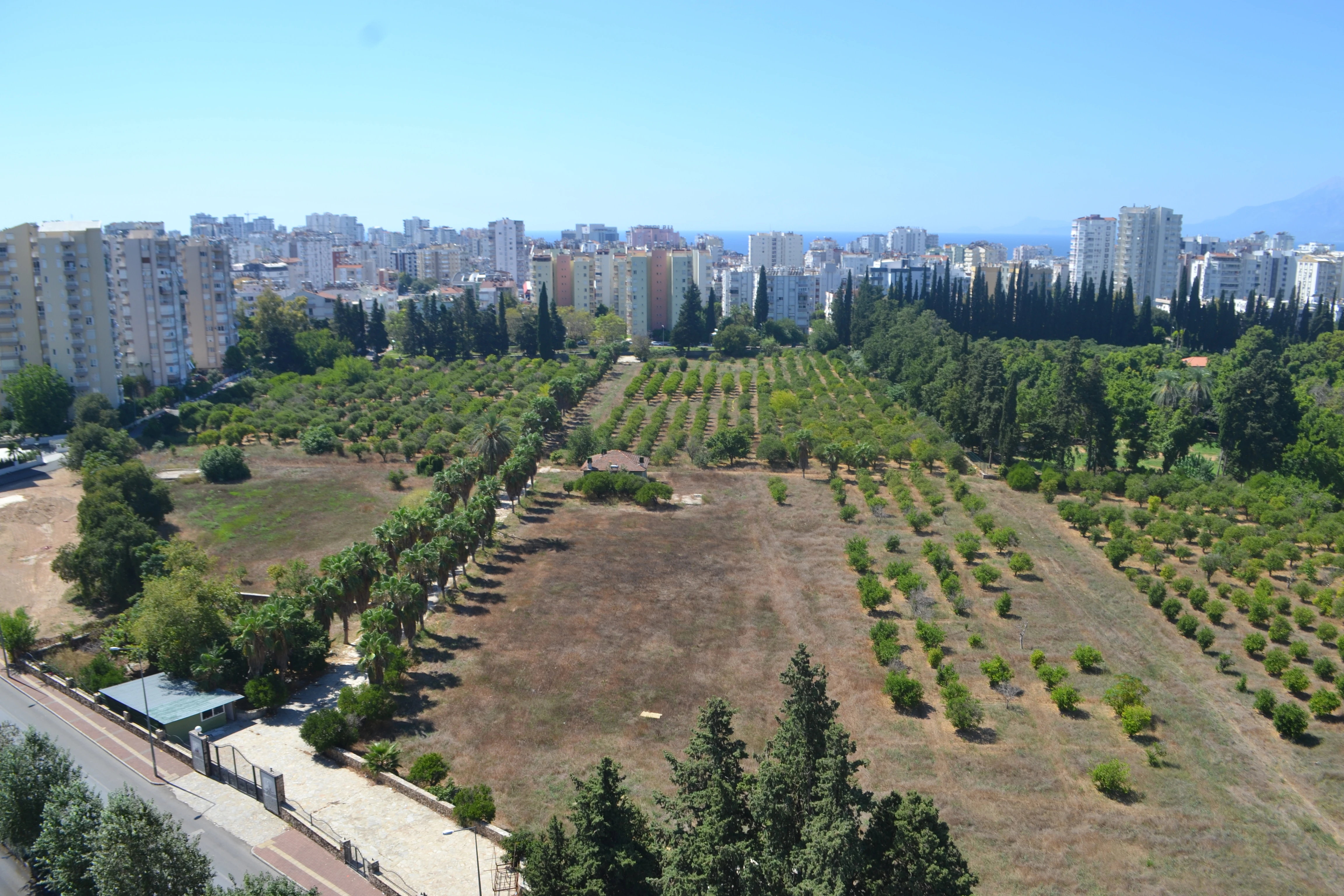 Antalya İKK'dan Narenciye Açıklaması! "Antalya'yı Betona Gömmeyin"