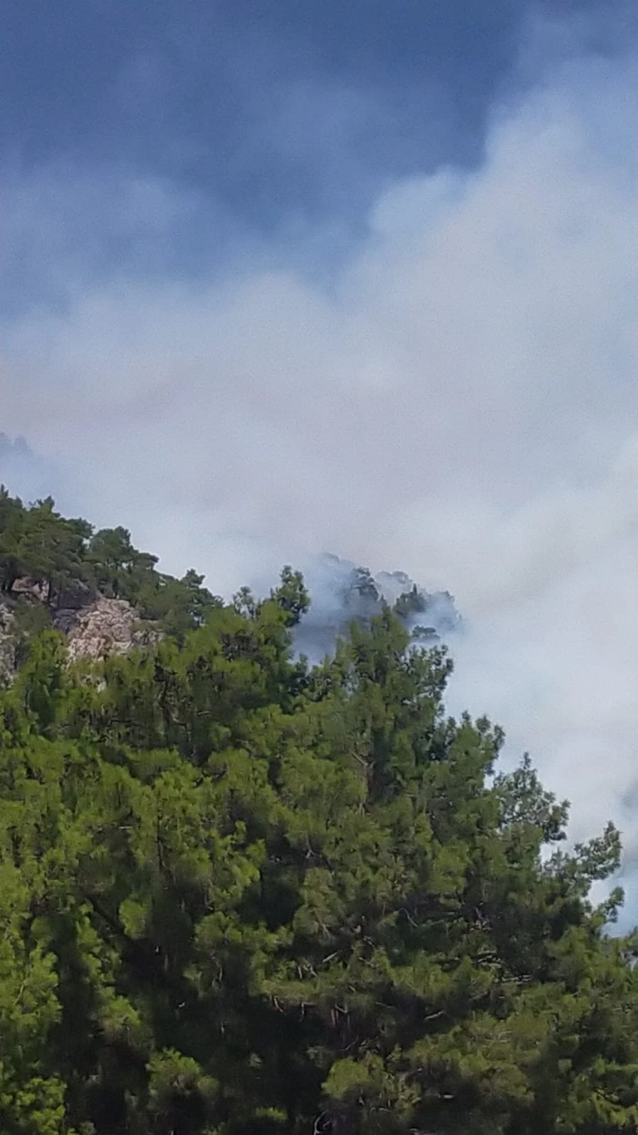 Antalya Kumluca'da Orman Yangını