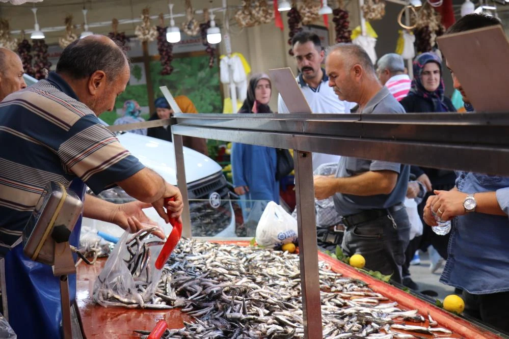 Bolu'da Hamsi Fiyatları Deniz Suyu Sıcaklığıyla Dalgalanıyor