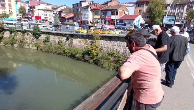 Bartın Irmağı'nda Toplu Balık Ölümleri Endişe Yaratıyor