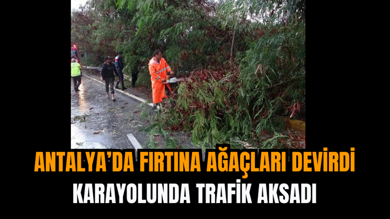 Antalya’da Fırtına Ağaçları Devirdi Karayolunda Trafik Aksadı