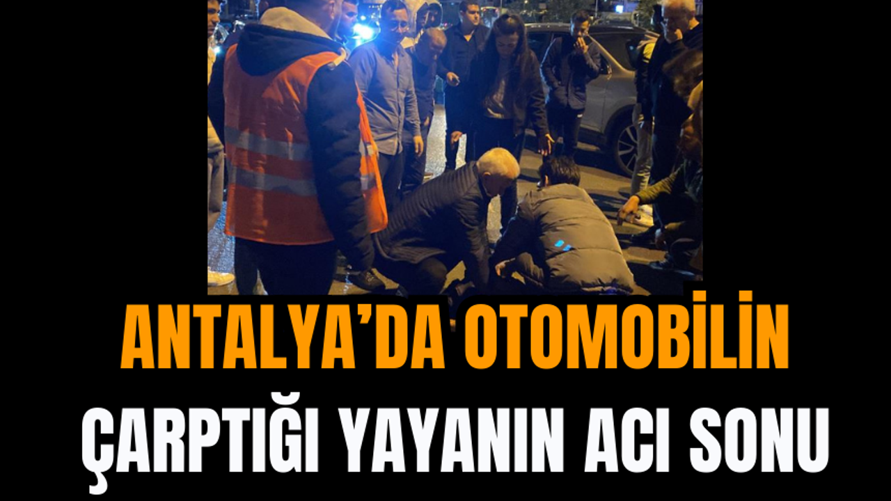 Antalya’da Otomobilin Çarptığı Yayanın Acı Sonu