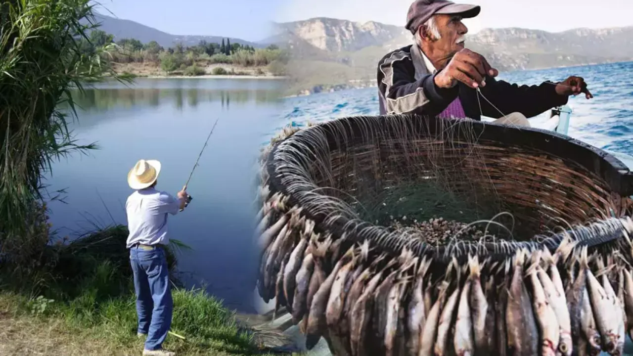 Balık nerede tutulur? Türkiye'de balık tutmak için en güzel yerler