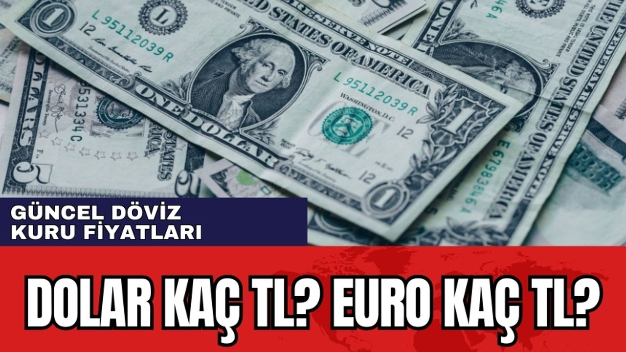 Dolar kaç TL? Euro kaç TL? 17 Ocak 2024
