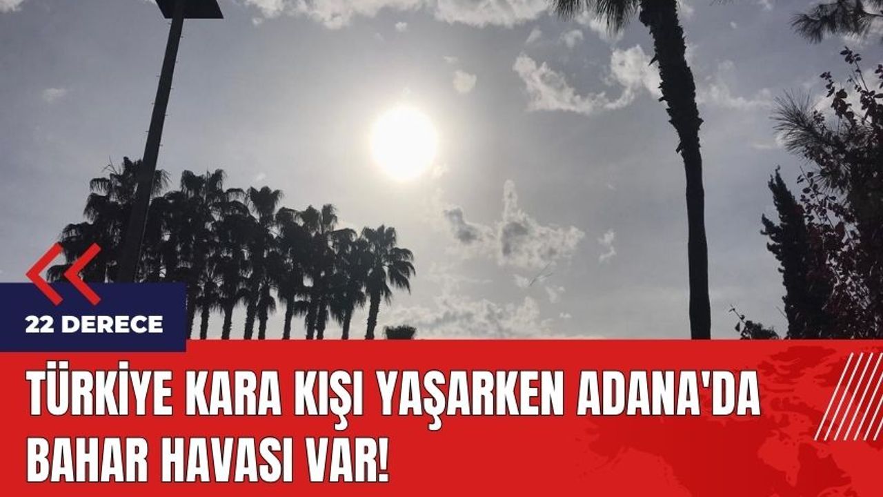 Türkiye kara kışı yaşarken Adana'da bahar havası var