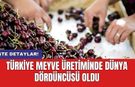 Türkiye meyve üretiminde Dünya dördüncüsü oldu