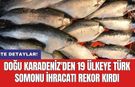 Doğu Karadeniz'den 19 Ülkeye Türk somonu ihracatı rekor kırdı