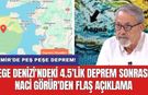 Ege Denizi'ndeki 4.5'lik deprem sonrası Naci Görür'den flaş açıklama