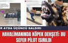 Havalimanında Köpek Dehşeti: Bu sefer Pilot Isırıldı