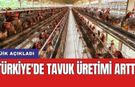 TÜİK açıkladı: Türkiye'de tavuk üretimi arttı