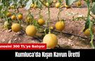 Kumluca'da Kışın Kavun Üretti! Tanesini 300 TL'ye Satıyor