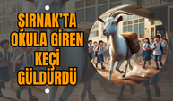 Şırnak’ta Okula Giren Keçi Güldürdü