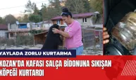 Kozan'da kafası salça bidonuna sıkışan köpeği kurtardı