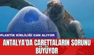 Antalya'da carettaların sorunu büyüyor: Plastik kirliliği can alıyor