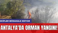 Antalya'da orman yangını!