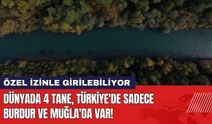 Dünyada 4 Tane Türkiye'de Sadece Burdur ve Muğla'da Var!