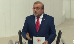 HDP Milletvekili Kemal Bülbül TBMM'de konuştu
