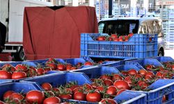Sebze fiyatları yükselmeye devam ediyor! Domates üretiminin artması fiyatlara olumlu yansıdı