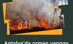   Antalya’da orman yangını