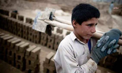 Bakanlık açıkladı: Birçok sektörde çocuk işçi tespit edildi