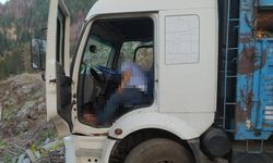 Antalya'da kamyon sürücüsü direksiyon başında ölü bulundu
