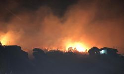 Orman yangını: 11 ev yandı, 140 hektar alan kül oldu, 500 kişi tahliye edildi