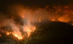 İsviçre'de ormanlık alanda yangın