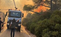 Bodrum Belediye Başkanından yangın açıklaması: “Yine çok büyük bir felaketin eşiğinden döndük”