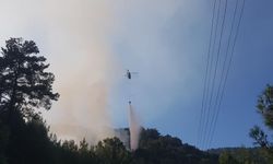 Orman yangını kontrol altına alındı, 1.5 hektar alan zarar gördü